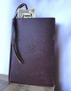 bookmark in use